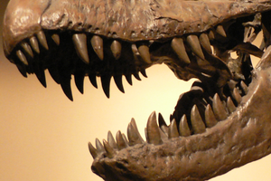 dinosaur with human teeth